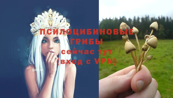 СК Алексеевка